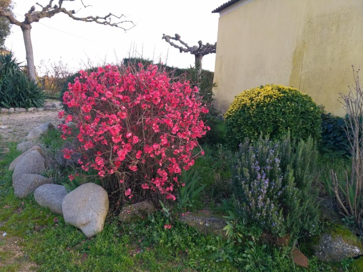 Casa Rural "Can Abres" Vilobi D'Onyar Girona Viloví de Oñar Εξωτερικό φωτογραφία